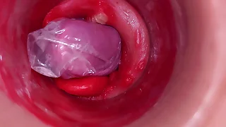 446 dildo porn videos